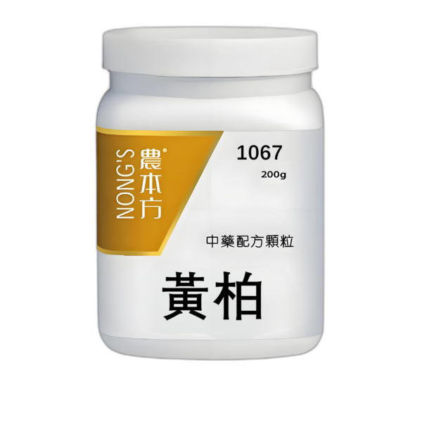 黃柏