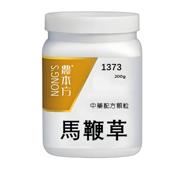 馬鞭草